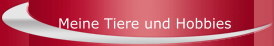 Meine Tiere und Hobbies