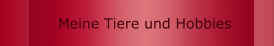 Meine Tiere und Hobbies